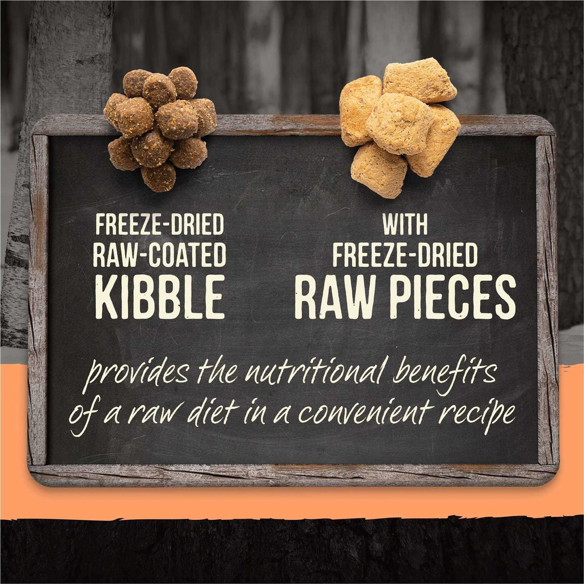 Grain Free Raw Infused Dry Dog Food Z6187