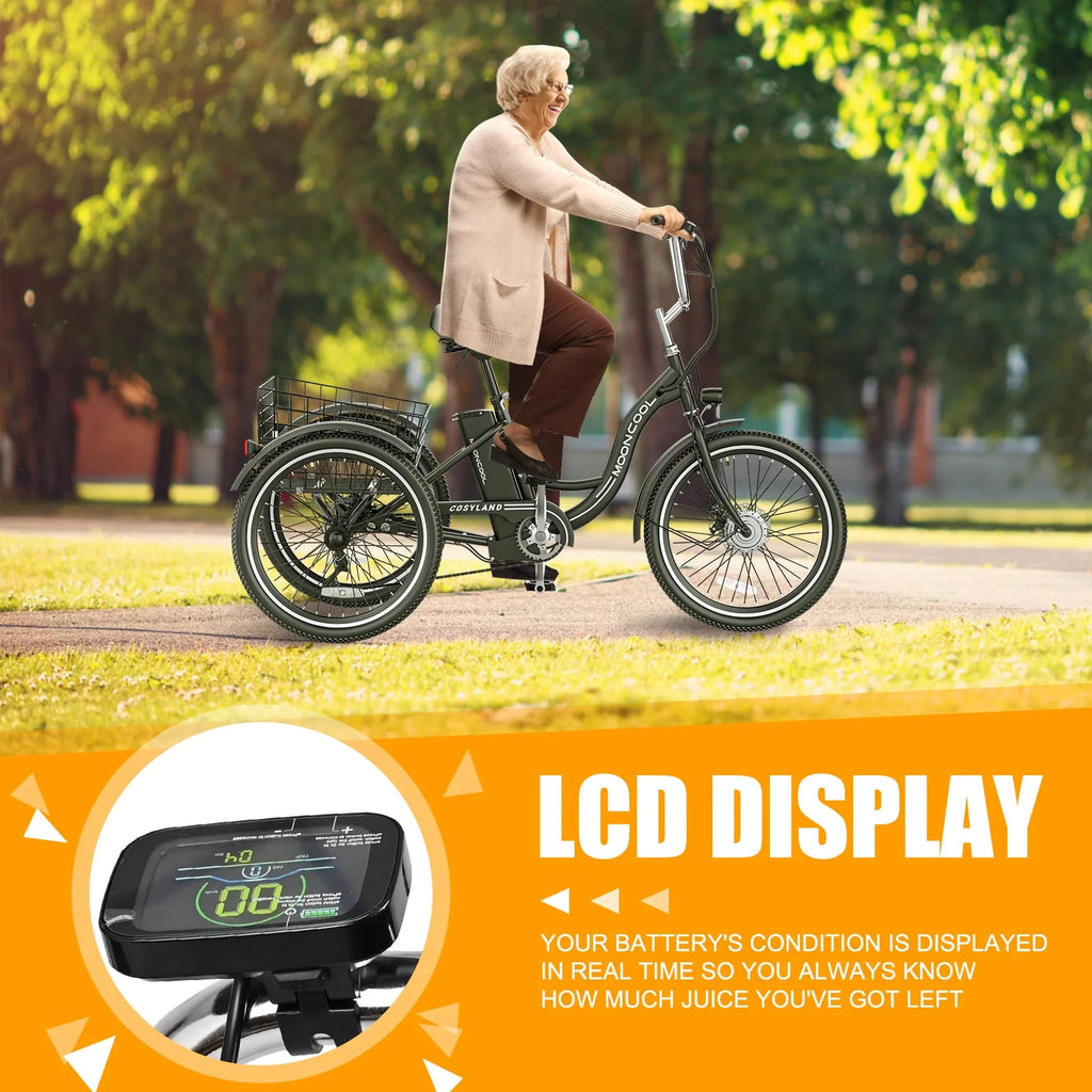 Electric Tricycle with Removable Lithium Battery C7674