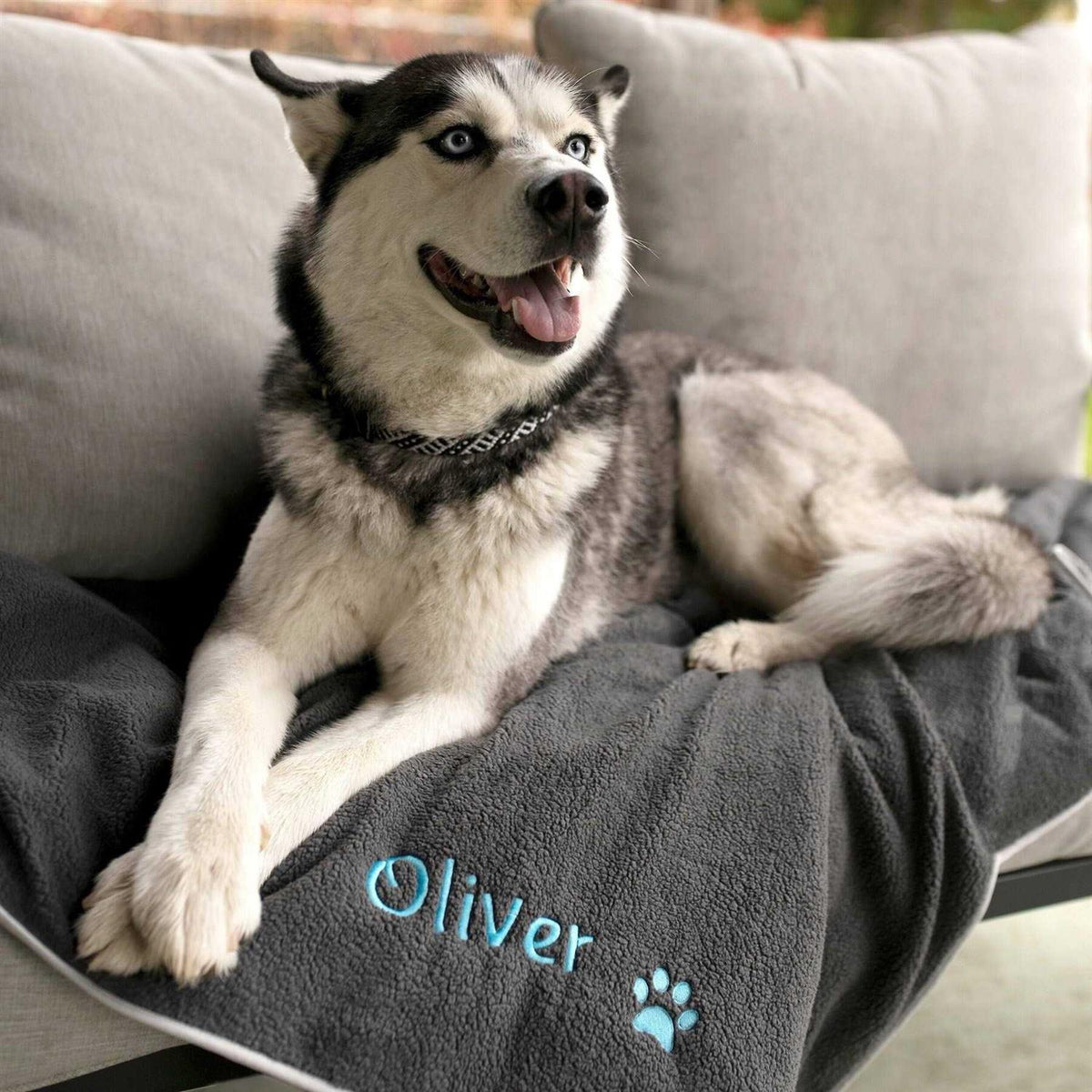 Personalized Dog Blanket Z252780