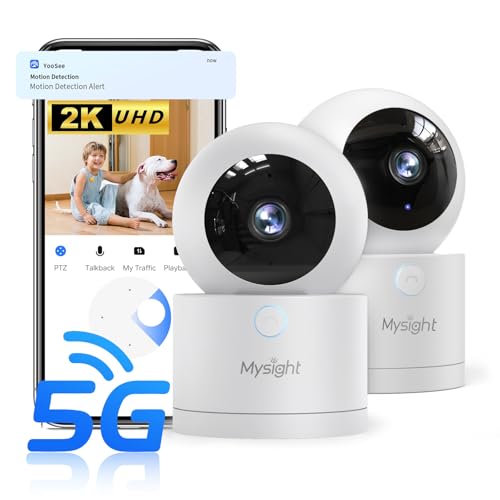 2K Pan/Tilt Indoor Security Camera K602