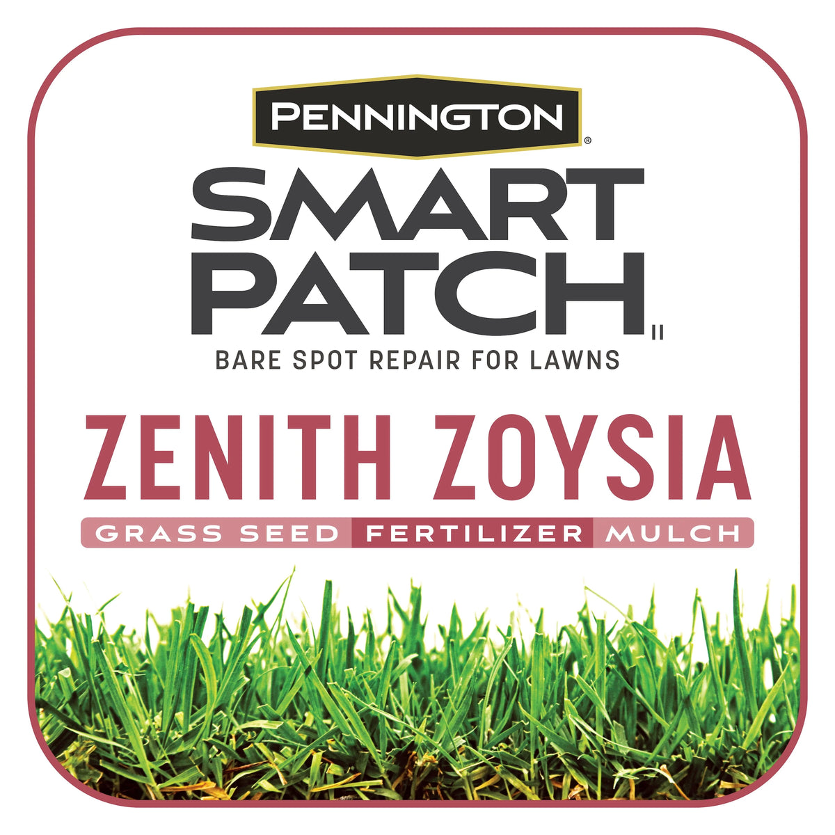 Zoysia Grass Seed 5 lb D2738
