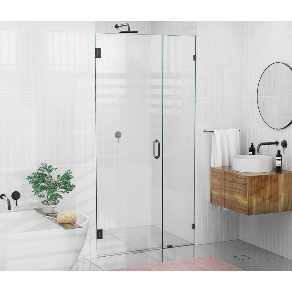 Black Frameless Hinged Shower Door F847
