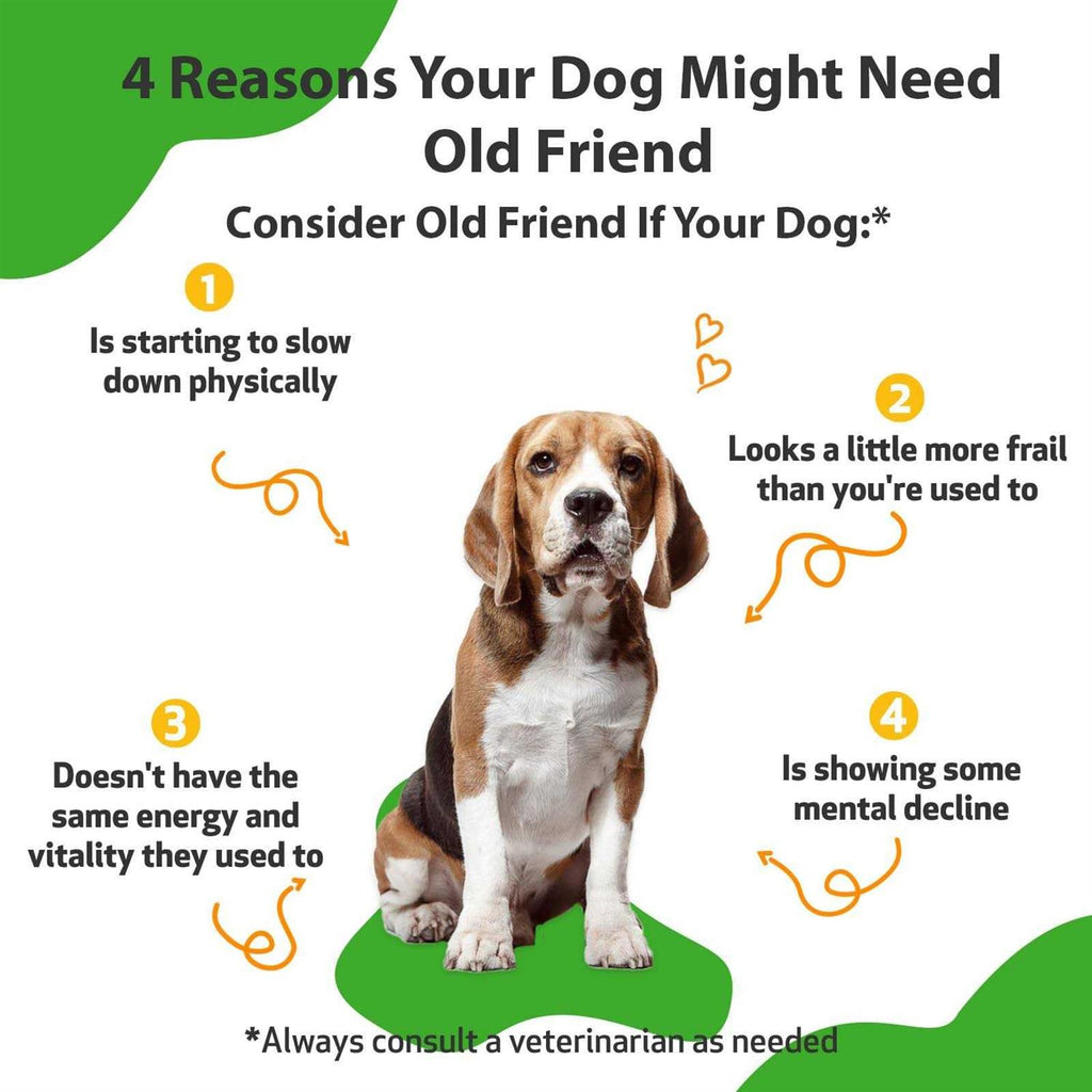 Senior Dogs Pet Supplies E43760