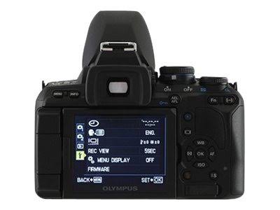 12.3 Megapixel Digital SLR Camera (Body Only) D393