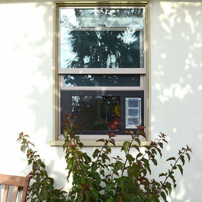 Cat Door White / Medium C735