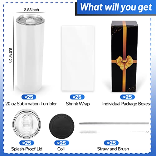 20 oz 10 Pack Stainless Steel Insulated Sublimation Tumblers with Lid and Straw R171531