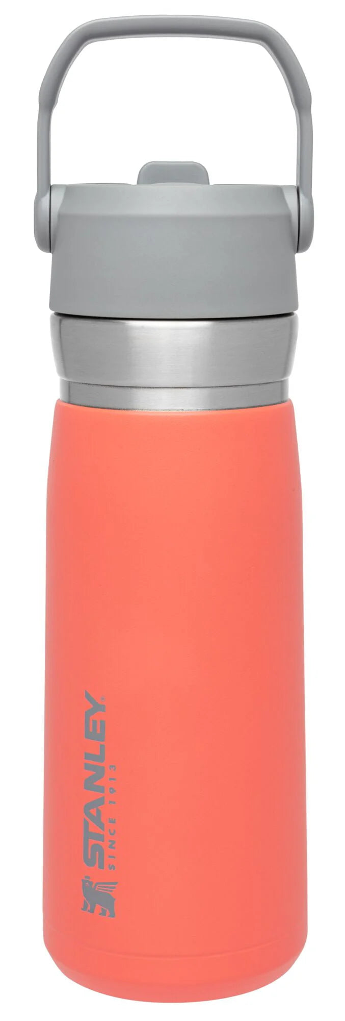 22 oz Insulated Stainless Steel Water Bottle with Straw and Flip-Top Lid S59490