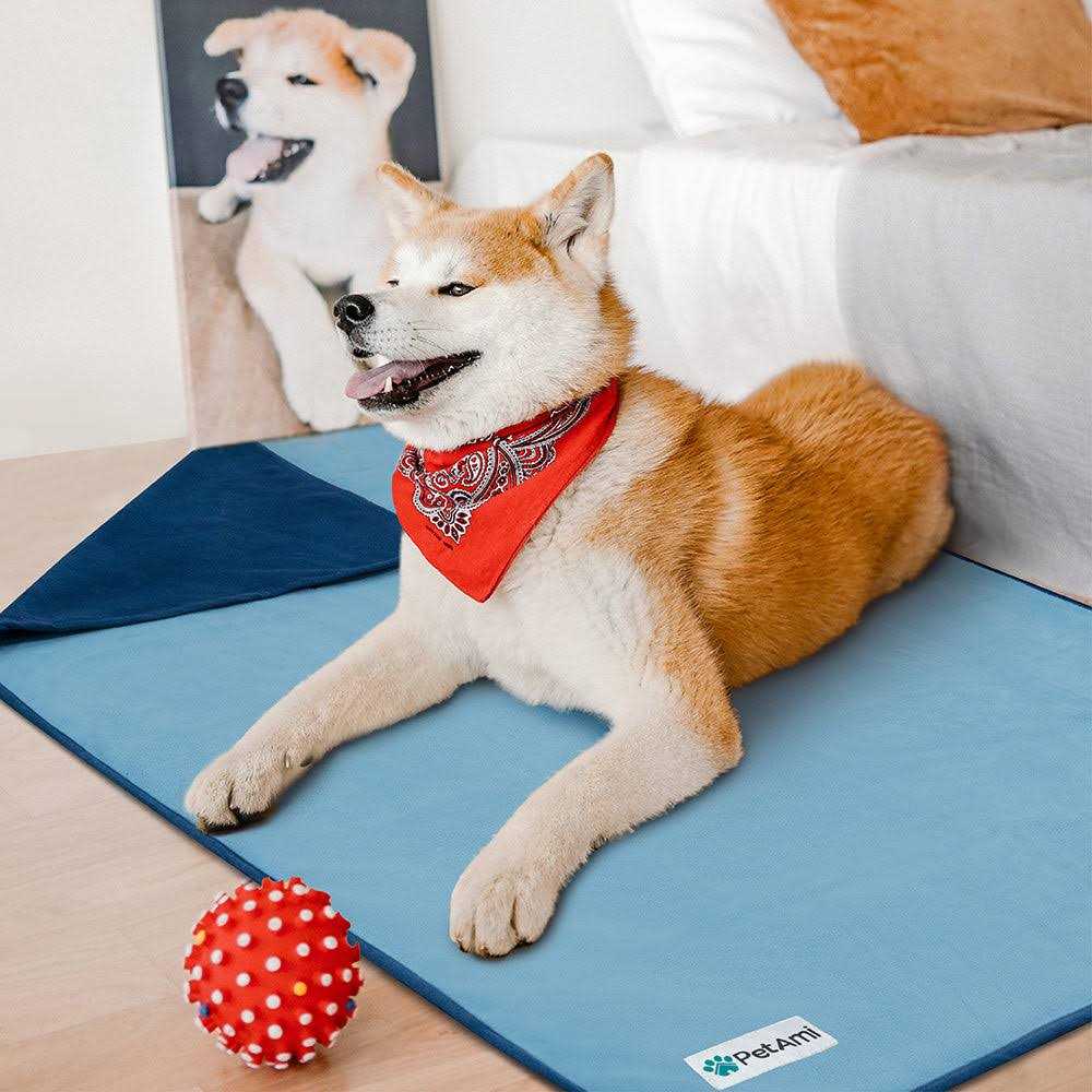 Waterproof Dog Blanket Pet Couch Cover M846