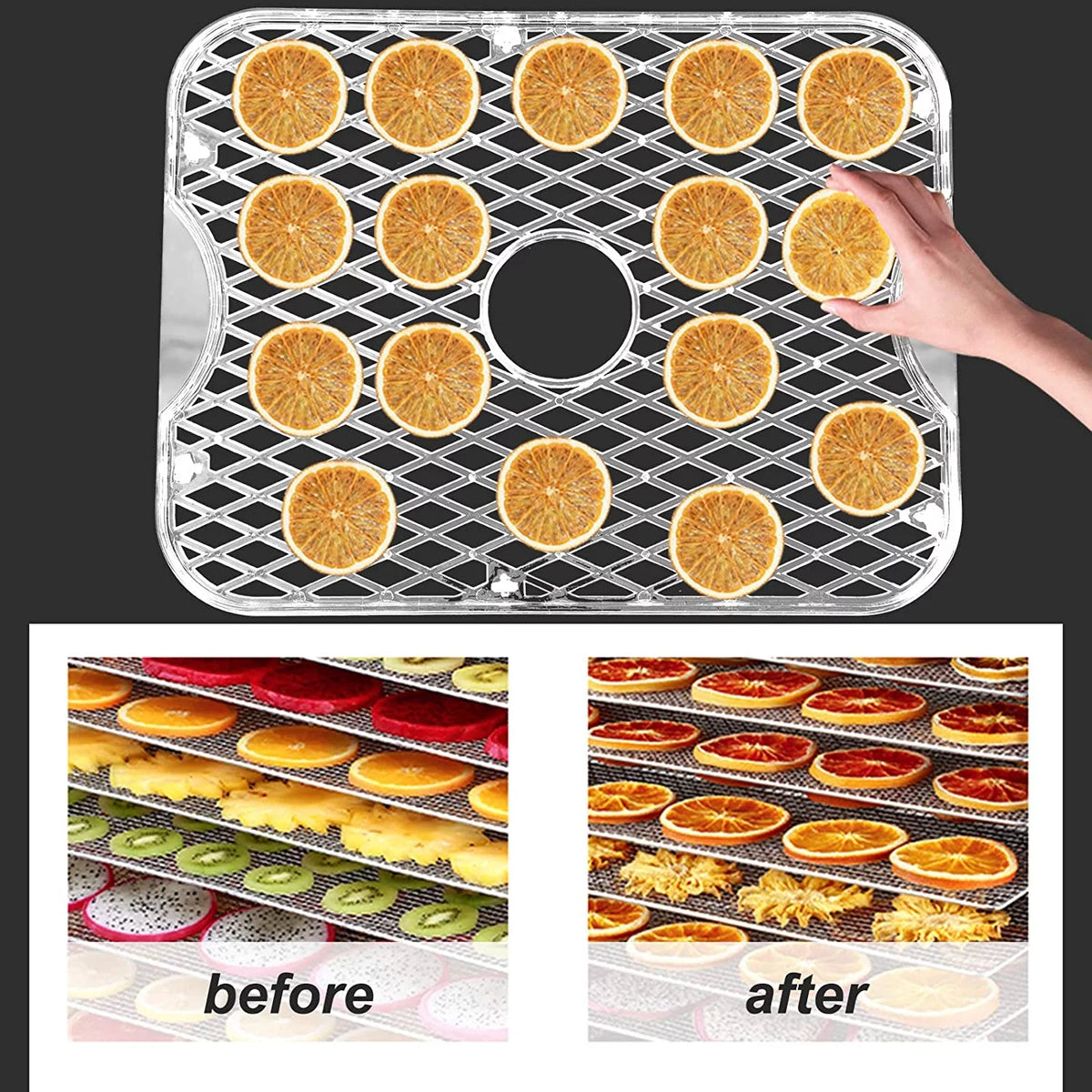 Electric Food Dehydrator with Adjustable Thermostat, 5-Tray R584366
