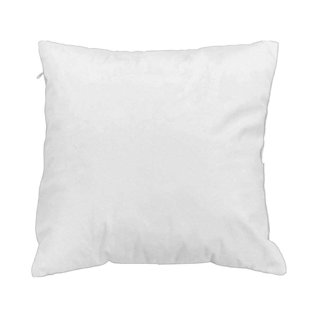 Velvet Cushion Set of 2 H252655