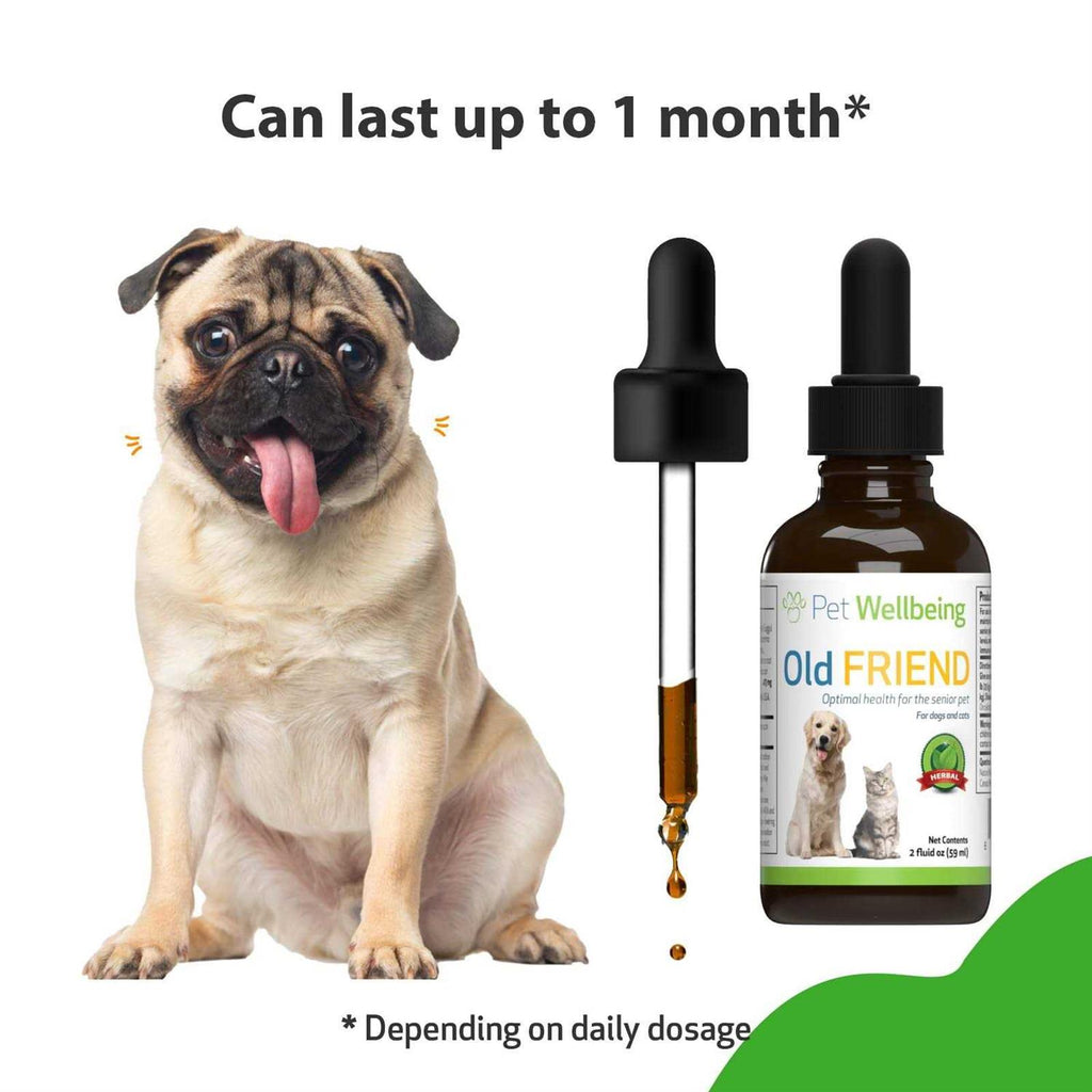 Senior Dogs Pet Supplies E43760