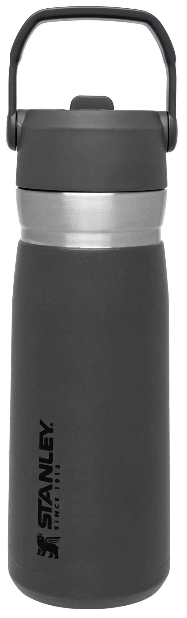 22 oz Insulated Stainless Steel Water Bottle with Straw and Flip-Top Lid S59490