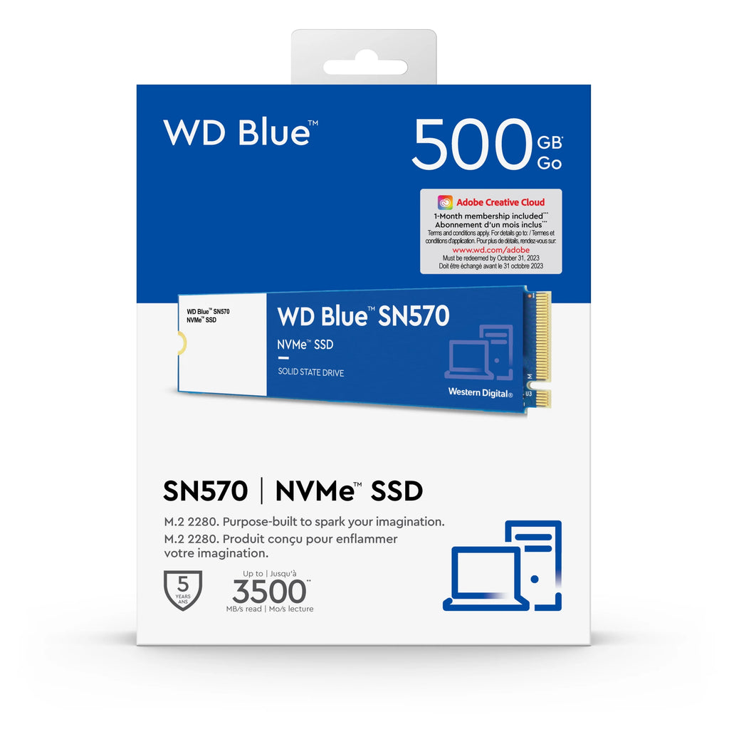 500GB NVMe SSD P131002