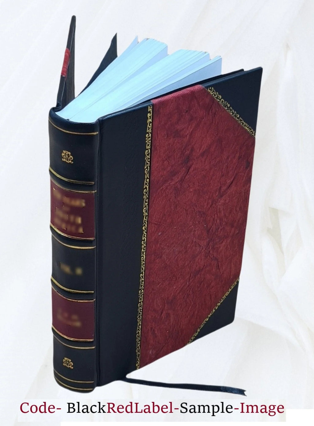 Leather Bound Book N6234