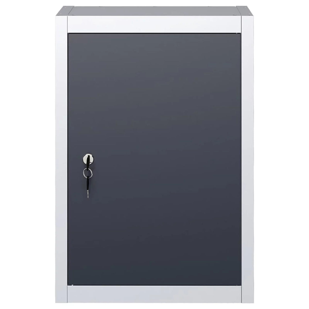 Wall Mounted Metal Tool Cabinet with Adjustable Shelf and Lockable Door K9242