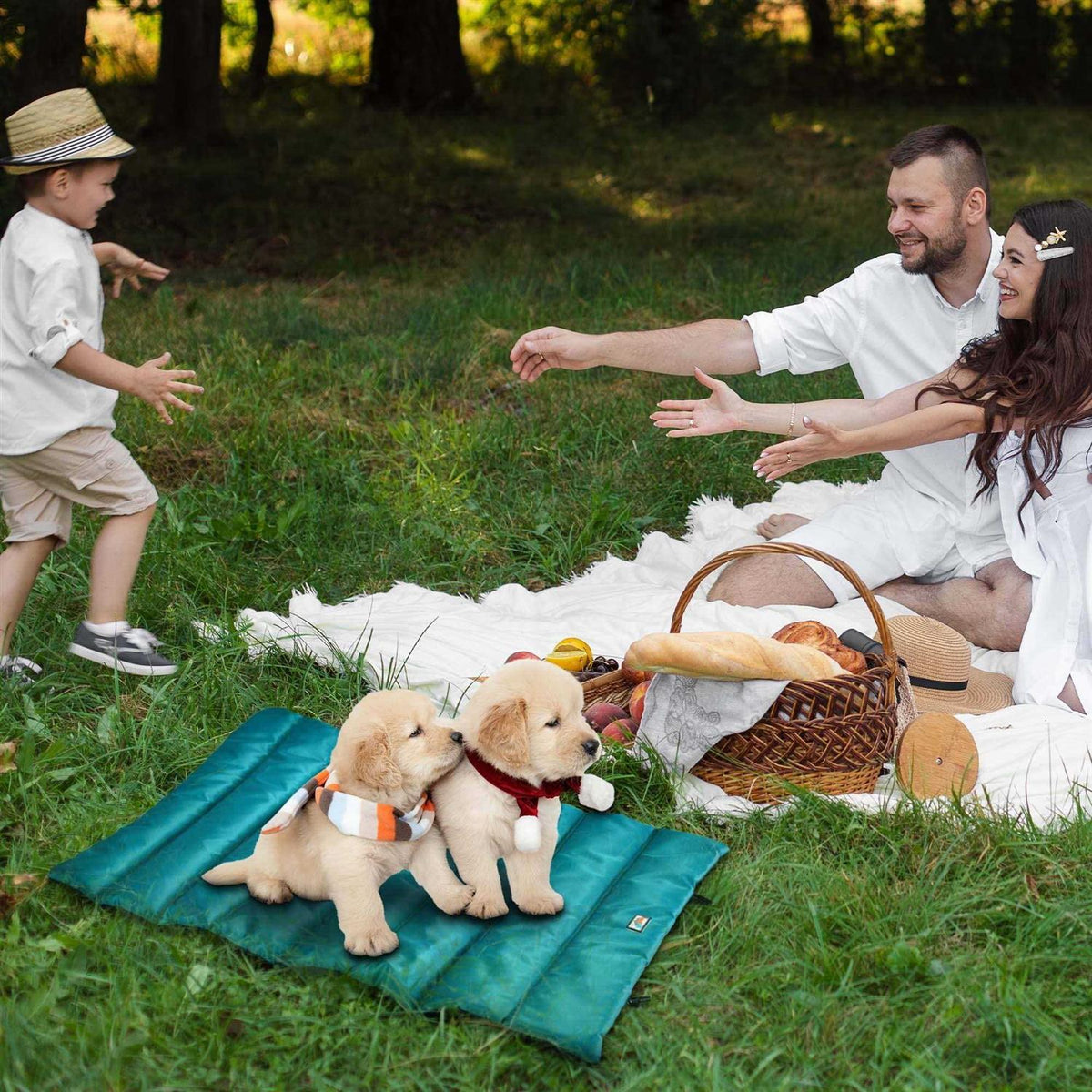 Portable Waterproof Roll Up Dog Mat Bed J5103